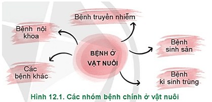  Hãy kể tên một số bệnh ở vật nuôi thuộc mỗi nhóm bệnh chính trong Hình 12.1