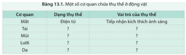 Điền các thông tin thích hợp vào bảng 13.1 trang 89 SGK Sinh học 11 – Cánh diều