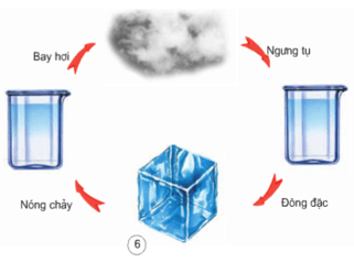 Các thể của chất và sự chuyển thể | Kết nối tri thức