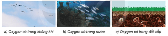 Oxygen. Không khí | Kết nối tri thức