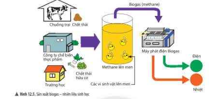 Lý thuyết Khoa học tự nhiên 6 Bài 12: Nhiên liệu và an ninh năng lượng | Chân trời sáng tạo