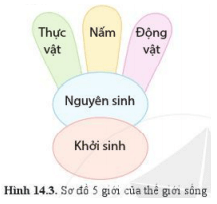 Lý thuyết Khoa học tự nhiên 6 Bài 14: Phân loại thế giới sống | Cánh diều