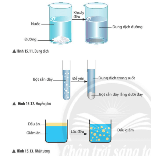 Lý thuyết Khoa học tự nhiên 6 Bài 15: Chất tinh khiết – hỗn hợp | Chân trời sáng tạo