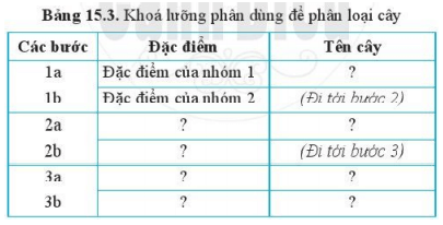 Lý thuyết Khoa học tự nhiên 6 Bài 15: Khóa lưỡng phân | Cánh diều