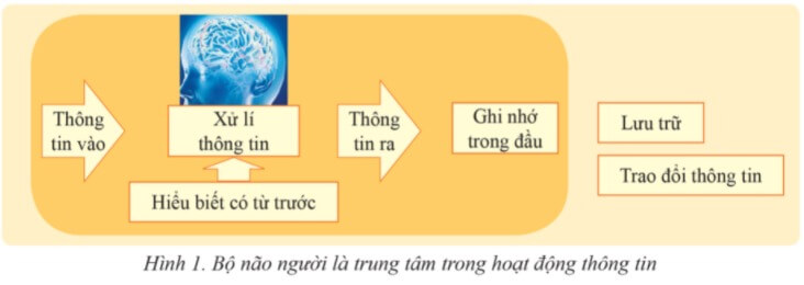 Lý thuyết Tin học 6 Bài 2: Lưu trữ và trao đổi thông tin | Cánh diều