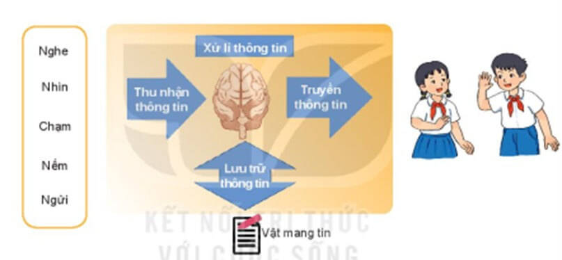 Lý thuyết Tin học 6 Bài 2: Xử lí thông tin | Kết nối tri thức