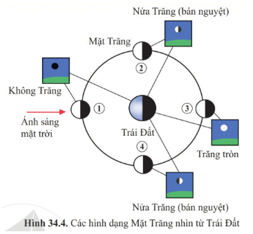 Lý thuyết Khoa học tự nhiên 6 Bài 34: Các hình dạng nhìn thấy của Mặt Trăng | Cánh diều