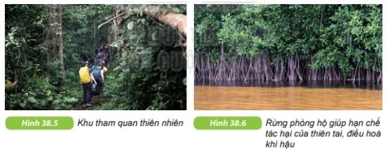 Đa dạng sinh học | Kết nối tri thức