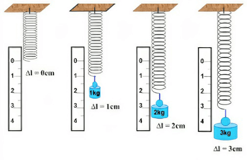 Lý thuyết Khoa học tự nhiên 6 Bài 39: Biến dạng của lò xo. Phép đo lực | Chân trời sáng tạo