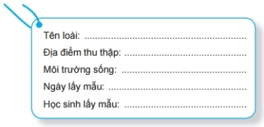 Tìm hiểu sinh vật ngoài thiên nhiên | Kết nối tri thức