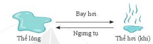 Lý thuyết Khoa học tự nhiên 6 Bài 6: Tính chất và sự chuyển thể của chất | Cánh diều