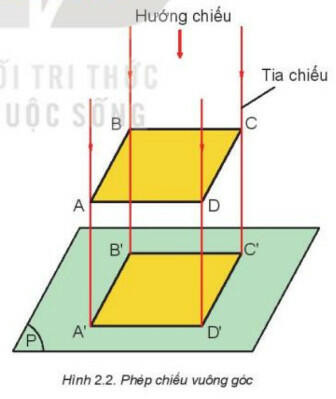 Lý thuyết Công nghệ 8 Bài 2 (Kết nối tri thức): Hình chiếu vuông góc (ảnh 1)