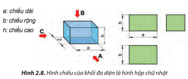 Lý thuyết Công nghệ 8 Bài 2 (Chân trời sáng tạo): Hình chiếu vuông góc (ảnh 1)