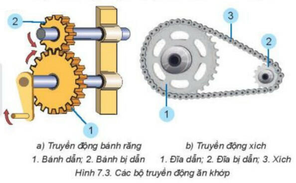 Lý thuyết Công nghệ 8 Bài 7 (Kết nối tri thức): Truyền và biến đổi chuyển động (ảnh 1)