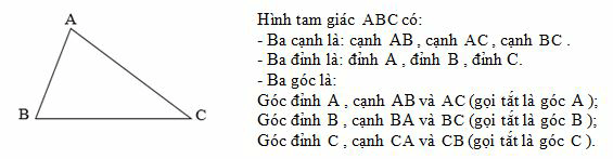 Hình tam giác. Diện tích hình tam giác lớp 5 hay, chi tiết | Lý thuyết Toán lớp 5