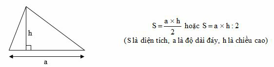 Hình tam giác. Diện tích hình tam giác lớp 5 hay, chi tiết | Lý thuyết Toán lớp 5