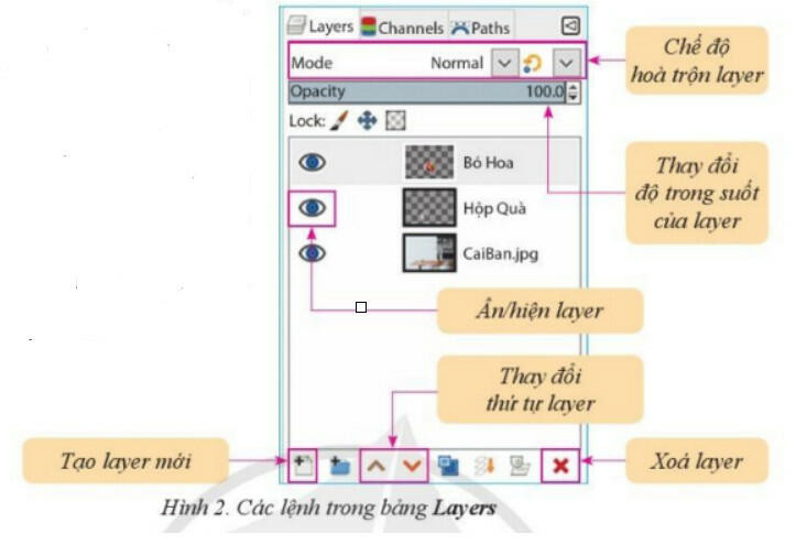 Lý thuyết Tin học 8 Bài 4 (Cánh diều): Lớp ảnh (ảnh 1)