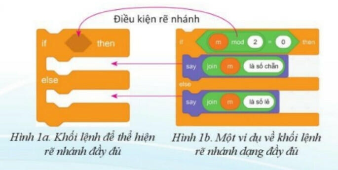 Lý thuyết Tin học 8 Bài 4 (Cánh diều): Thể hiện cấu trúc rẽ nhánh trong chương trình (ảnh 1)