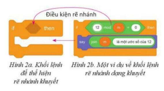 Lý thuyết Tin học 8 Bài 4 (Cánh diều): Thể hiện cấu trúc rẽ nhánh trong chương trình (ảnh 1)