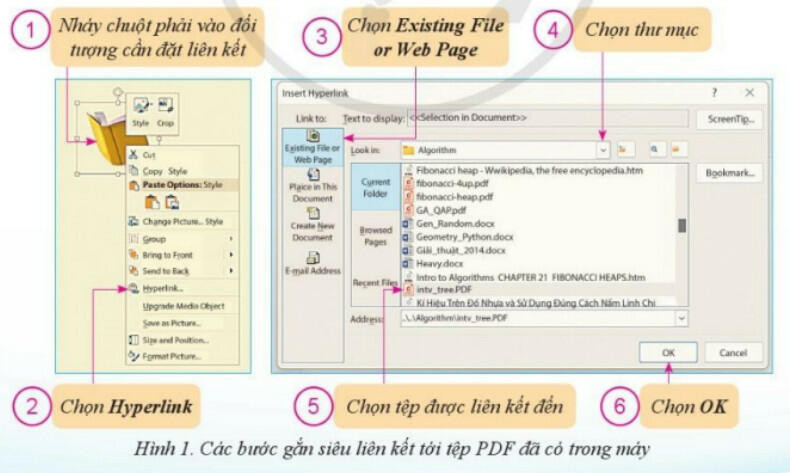 Lý thuyết Tin học 8 Bài 8 (Cánh diều): Kết nối đa phương tiện và hoàn thiện trang chiếu (ảnh 1)