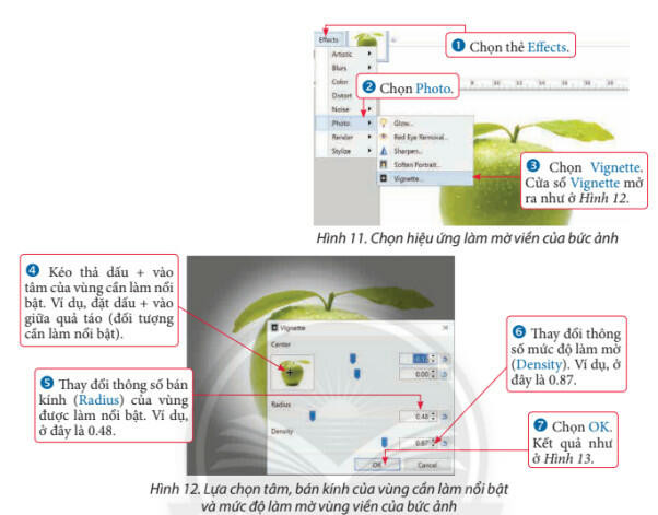 Lý thuyết Tin học 8 Bài 11b (Chân trời sáng tạo): Tẩy, tạo hiệu ứng cho ảnh (ảnh 1)