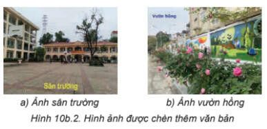 Lý thuyết Tin học 8 Bài 10b (Kết nối tri thức): Thêm văn bản, tạo hiệu ứng cho ảnh (ảnh 1)