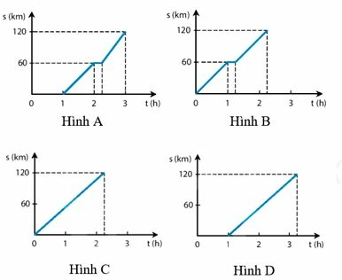 Bộ 10 đề thi giữa kì 1 Khoa học tự nhiên 7 Chân trời sáng tạo có đáp án năm 2023 (ảnh 2)