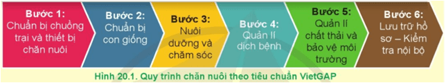  Quan sát Hình 20.1 hãy nêu các bước cơ bản của quy trình chăn nuôi theo tiêu chuẩn VietGAP