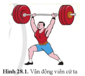 Vận động viên nâng được mức tạ lên đến hàng trăm kilôgam hình 28.1 là nhờ những cơ quan nào?