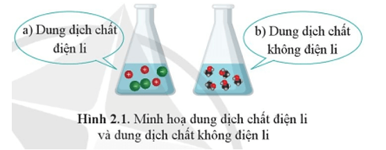 Quan sát Hình 2.1 em hãy nêu những sự khác nhau giữa chất điện li