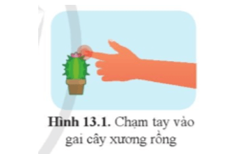 Hoàn thành bảng 5.1