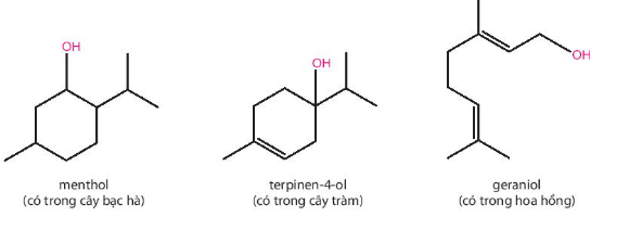 Một số loài thực vật như tràm, bạc hà, hoa hồng, … thường có mùi thơm dễ chịu