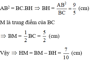 Trắc nghiệm Một số hệ thức về cạnh và đường cao trong tam giác vuông có đáp án (phần 2)