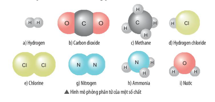  (ảnh 1)