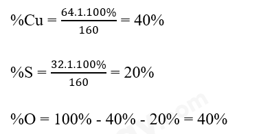  (ảnh 4)