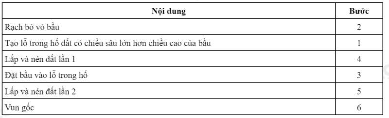 Công nghệ 7 Bài 8: Trồng, chăm sóc và bảo vệ rừng | Kết nối tri thức (ảnh 3)