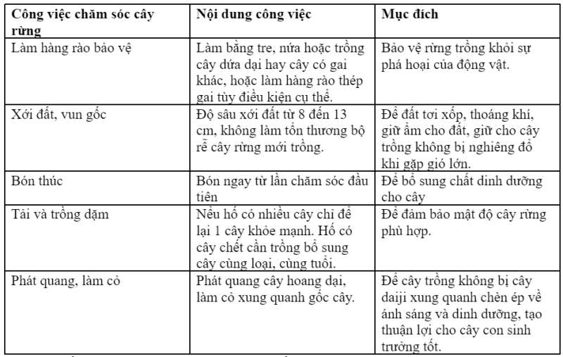 Công nghệ 7 Bài 6: Chăm sóc cây rừng sau khi trồng | Cánh diều (ảnh 5)