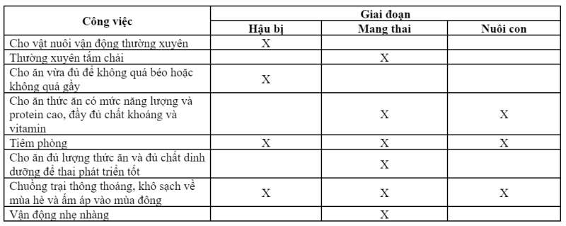 Công nghệ 7 Bài 9: Nuôi dưỡng và chăm sóc vật nuôi | Cánh diều (ảnh 7)