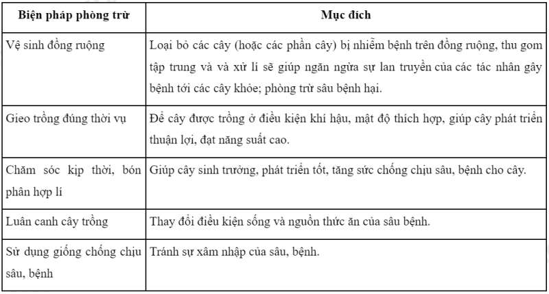 Công nghệ 7 Bài 3: Gieo trồng, chăm sóc và phòng trừ sâu, bệnh cho cây trồng | Kết nối tri thức (ảnh 7)