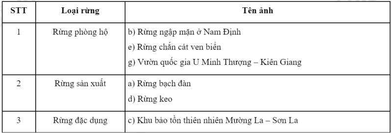 Công nghệ 7 Bài 7: Giới thiệu về rừng | Kết nối tri thức (ảnh 6)