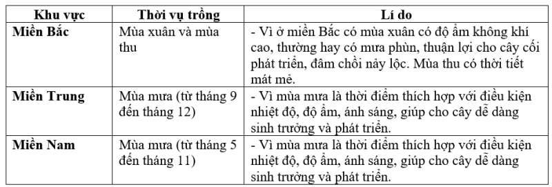 Công nghệ 7 Bài 5: Trồng cây rừng | Cánh diều (ảnh 5)