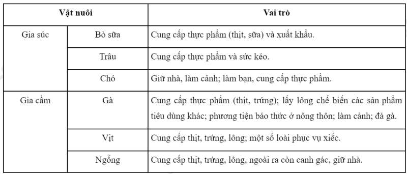 Công nghệ 7 Bài 9: Giới thiệu về chăn nuôi | Kết nối tri thức (ảnh 8)