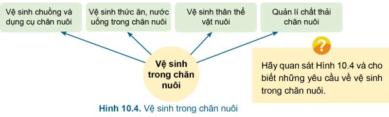 Công nghệ 7 Bài 10: Phòng và trị bệnh cho vật nuôi | Cánh diều (ảnh 8)