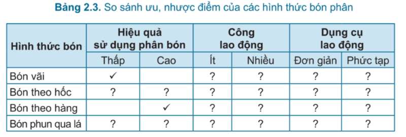 Công nghệ 7 Bài 2: Quy trình trồng trọt | Cánh diều (ảnh 17)