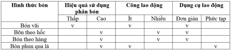 Công nghệ 7 Bài 2: Quy trình trồng trọt | Cánh diều (ảnh 18)