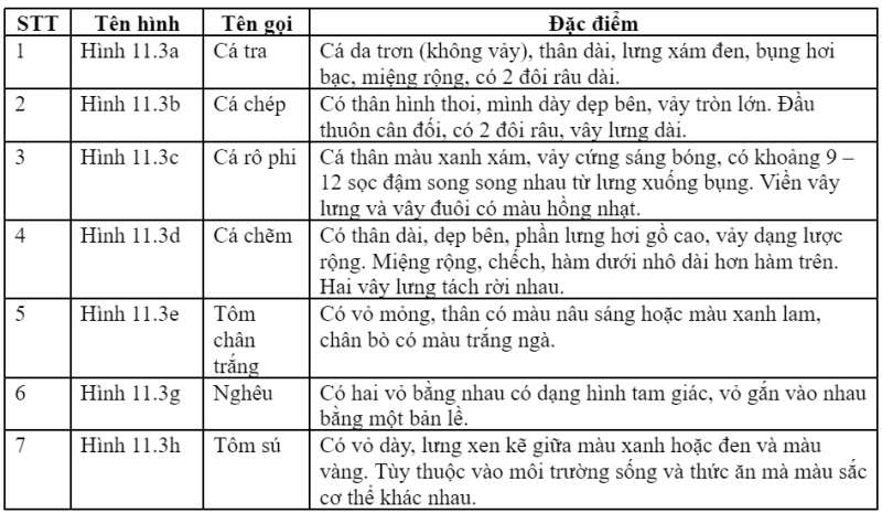 Công nghệ 7 Bài 11: Giới thiệu chung về nuôi trồng thủy sản | Cánh diều (ảnh 6)