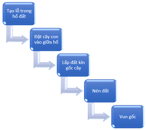 Công nghệ 7 Ôn tập Chủ đề 1: Trồng trọt và lâm nghiệp | Cánh diều (ảnh 6)