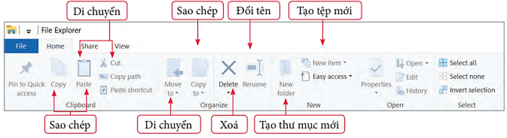 Lý thuyết Tin Học 7 Bài 3: Thực hành thao tác với tệp và thư mục – Chân trời sáng tạo  (ảnh 1)