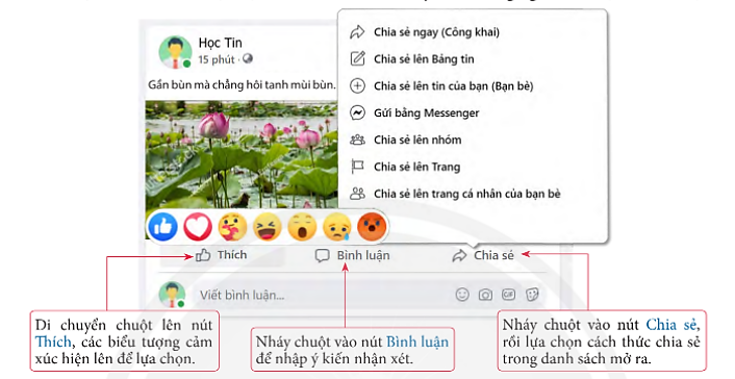 Lý thuyết Tin Học 7 Bài 5: Mạng xã hội – Chân trời sáng tạo  (ảnh 1)