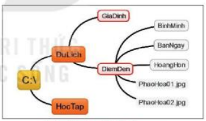 Lý thuyết Bài 3: Quản lí dữ liệu trong máy tính – Tin học lớp 7 - Kết nối tri thức (ảnh 1)